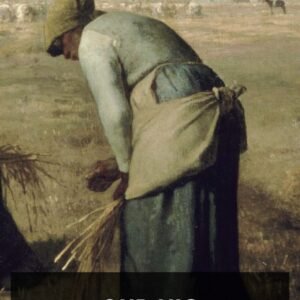 harriet e wilson our nig 1dff640a cover@2x.jpg