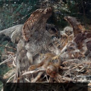 hermann hesse demian n h priday b6672c2e cover@2x.jpg