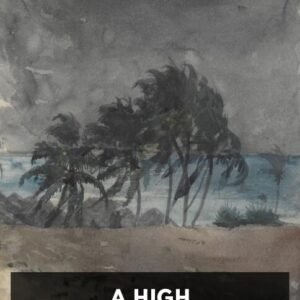 richard hughes a high wind in jamaica b6672c2e cover@2x.jpg